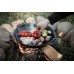 Сковорода чугунная Petromax Fire Skillet fp40h с ручками-петлями 35 см