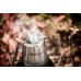 Кофеварка-перколятор Petromax Percolator Perkomax 1,5 л Нержавеющая сталь